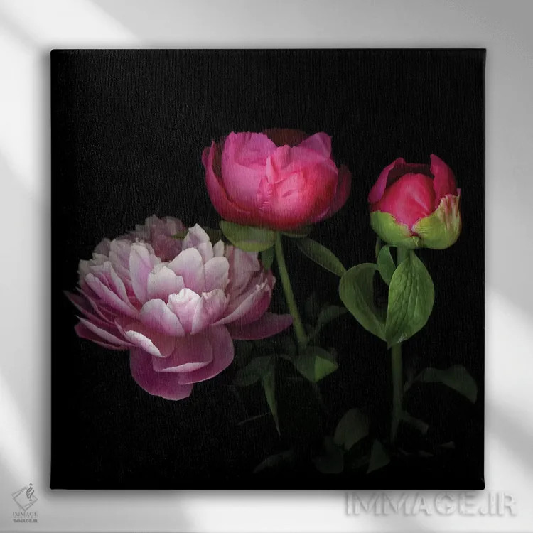 تابلو دکوراتیو صدتومانی چینی شانزدهم اثر مگدا ایندیگو - نمای روبهرو روی دیوار