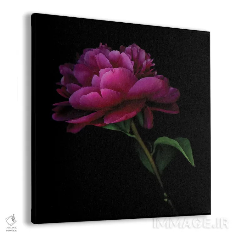 تابلو دکوراتیو صدتومانی تیره هشتم اثر مگدا ایندیگو - نمای پرسپکتیو محصول