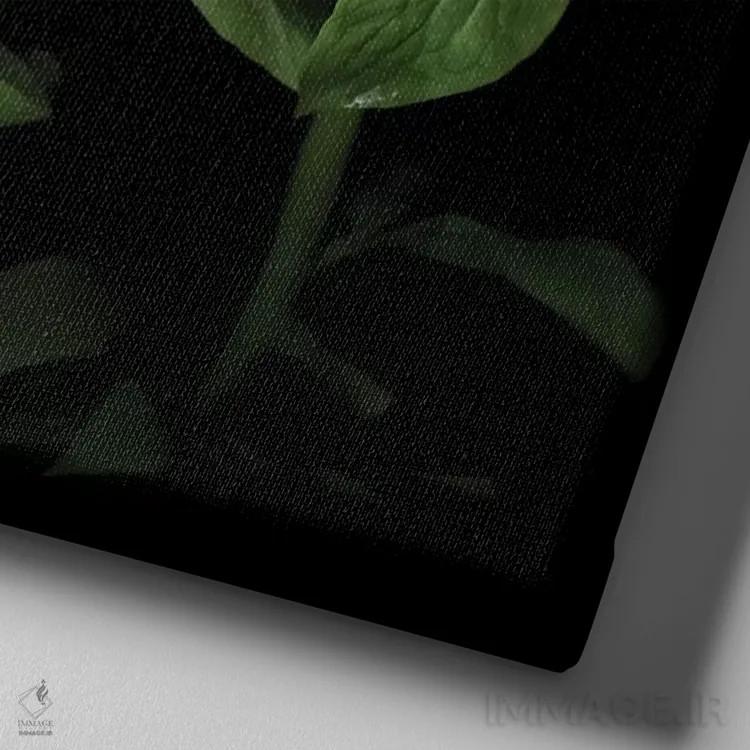 تابلو دکوراتیو صدتومانی چینی شانزدهم اثر مگدا ایندیگو - نمای نزدیک بافت بوم