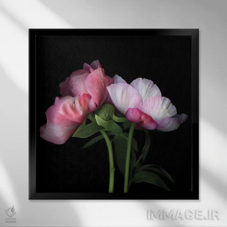 تابلو دکوراتیو صدتومانی چهل ونهم اثر مگدا ایندیگو - نمای قابدار مشکی