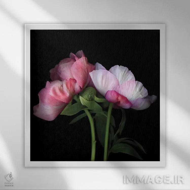 تابلو دکوراتیو صدتومانی چهل ونهم اثر مگدا ایندیگو - نمای قابدار سفید