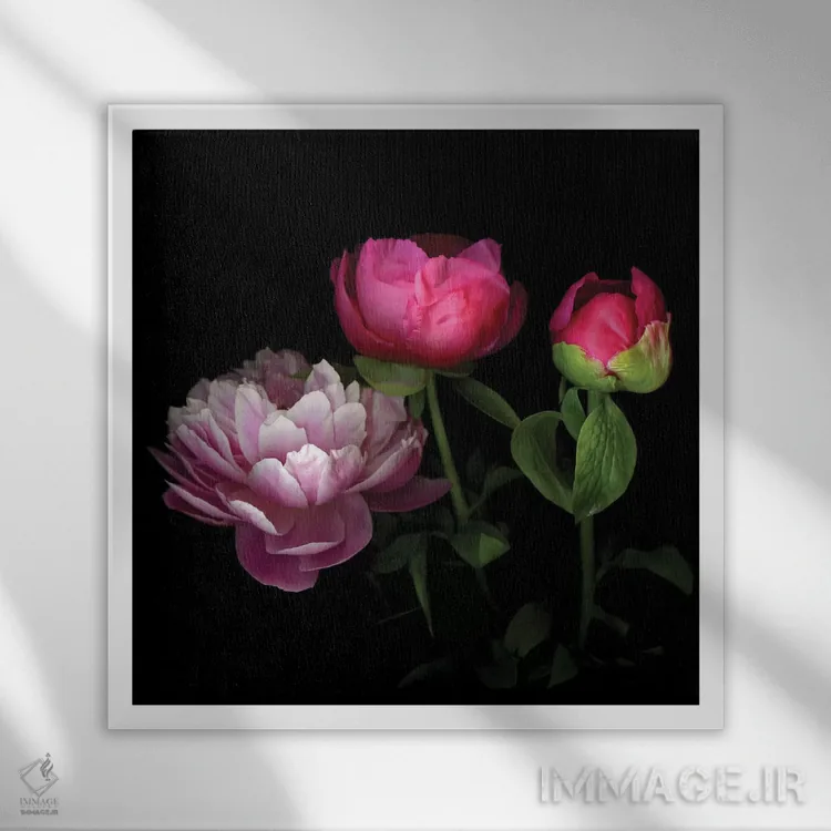 تابلو دکوراتیو صدتومانی چینی شانزدهم اثر مگدا ایندیگو - نمای قابدار سفید