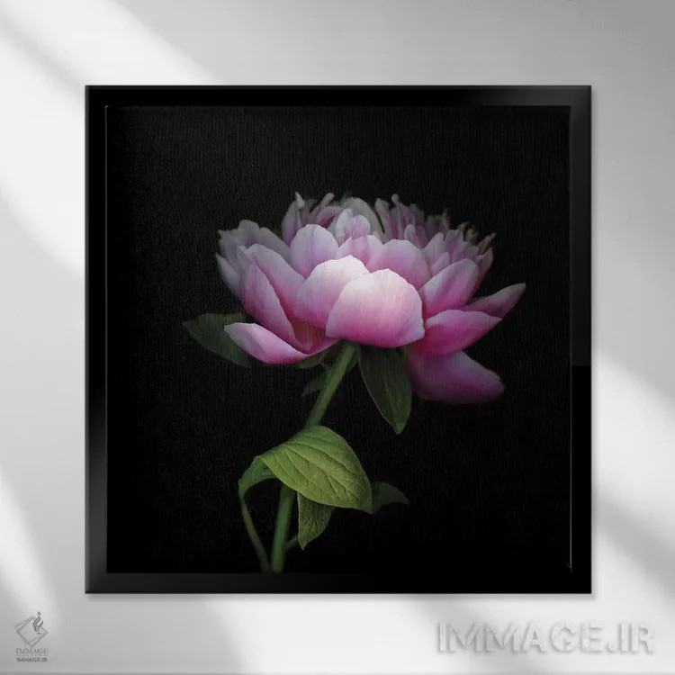 تابلو دکوراتیو صدتومانی چینی دوازدهم اثر مگدا ایندیگو - نمای قابدار مشکی