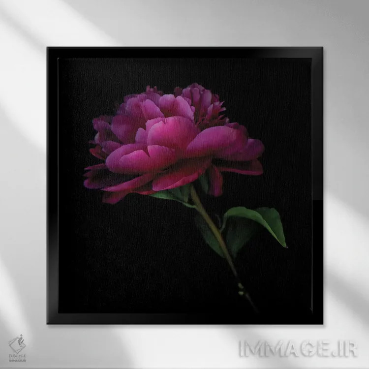 تابلو دکوراتیو صدتومانی تیره هشتم اثر مگدا ایندیگو - نمای قابدار مشکی