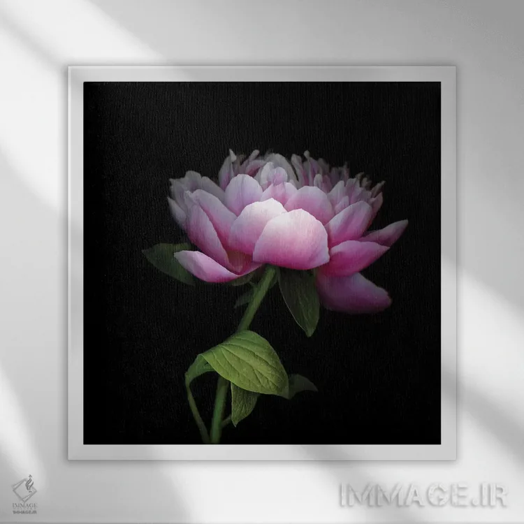 تابلو دکوراتیو صدتومانی چینی دوازدهم اثر مگدا ایندیگو - نمای قابدار سفید