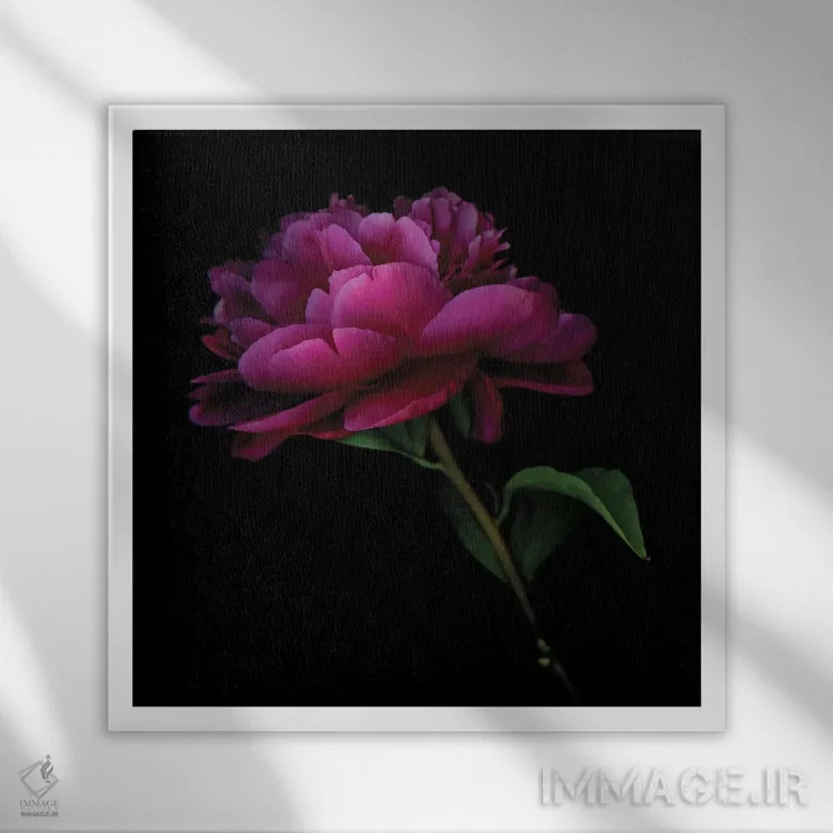 تابلو دکوراتیو صدتومانی تیره هشتم اثر مگدا ایندیگو - نمای قابدار سفید