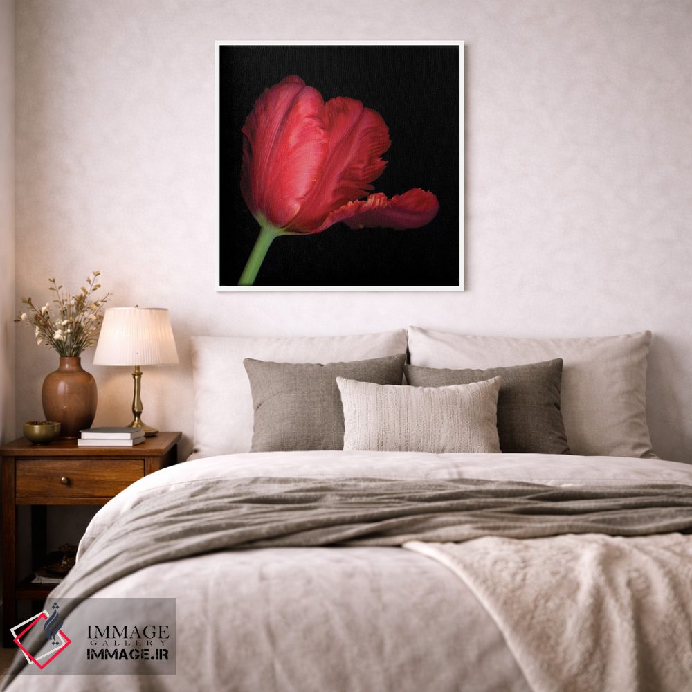 تابلو دکوراتیو طوطی قرمز ششم اثر مگدا ایندیگو - D1W