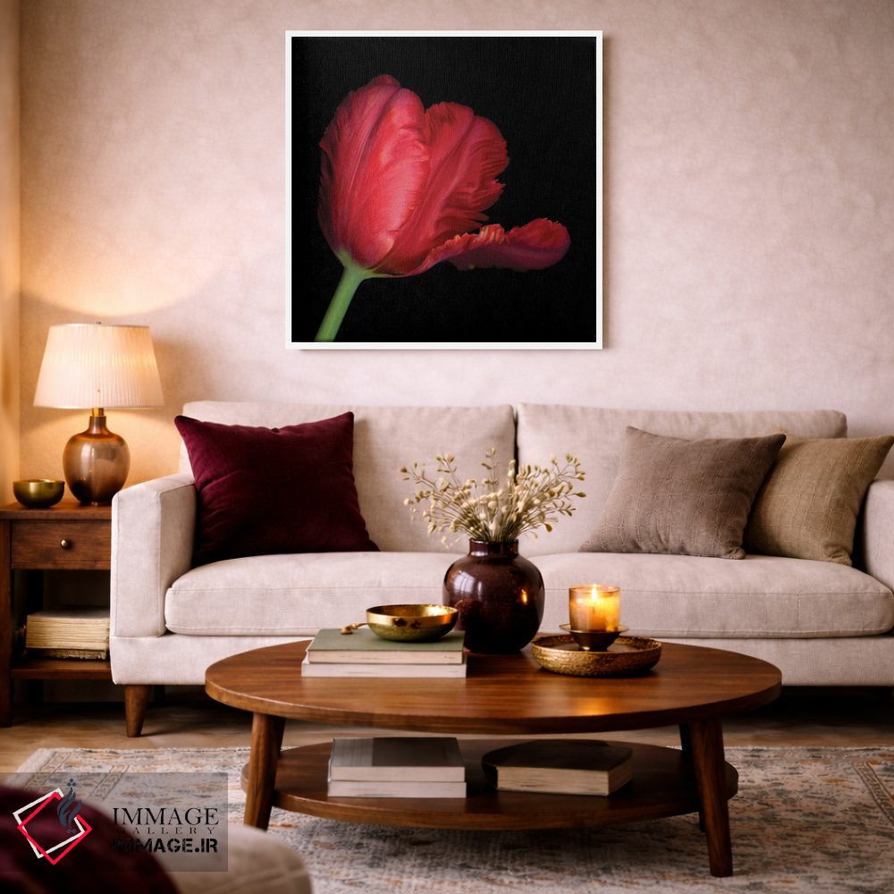 تابلو دکوراتیو طوطی قرمز ششم اثر مگدا ایندیگو - D2W