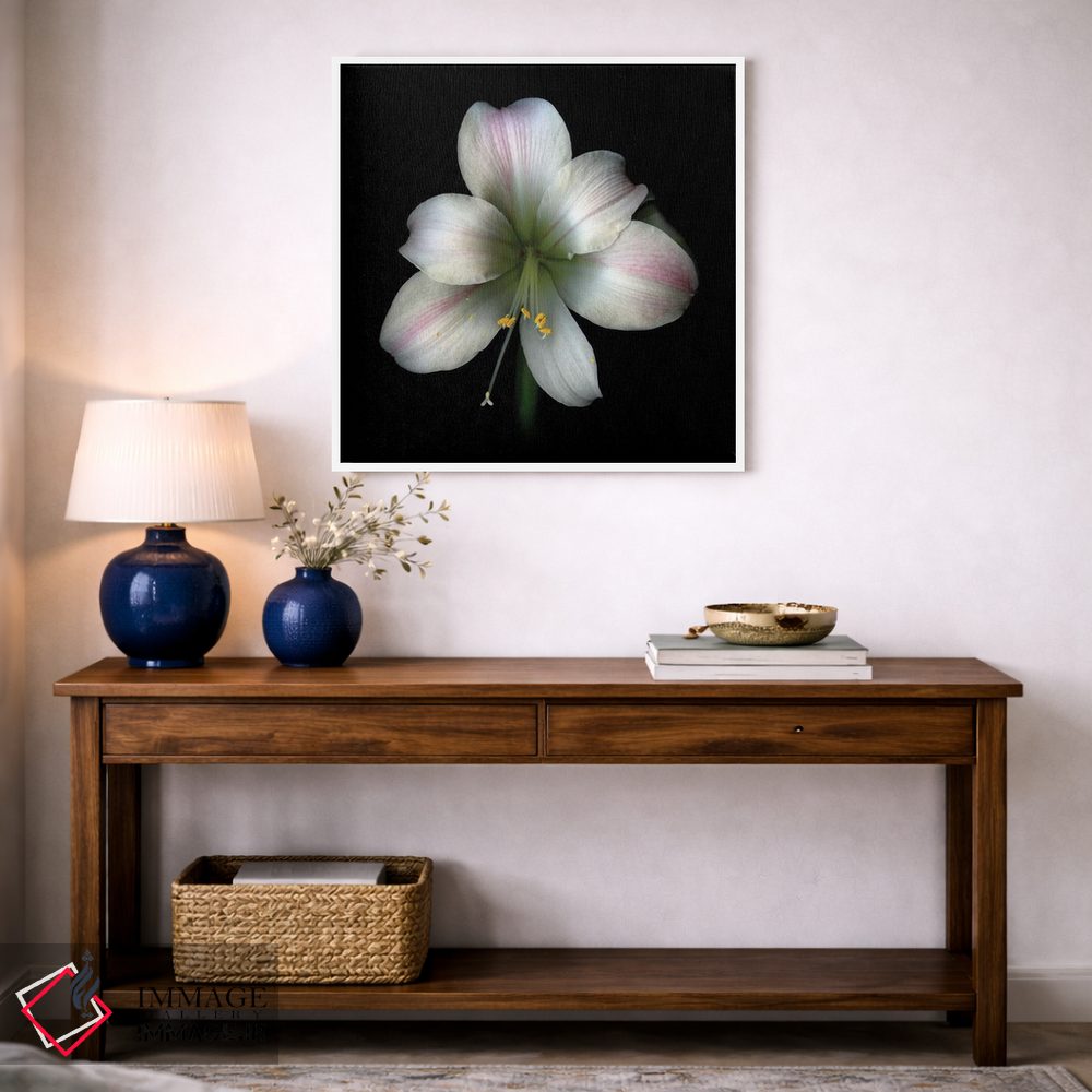 تابلو دکوراتیو آما صورتی دوم اثر مگدا ایندیگو - D4W