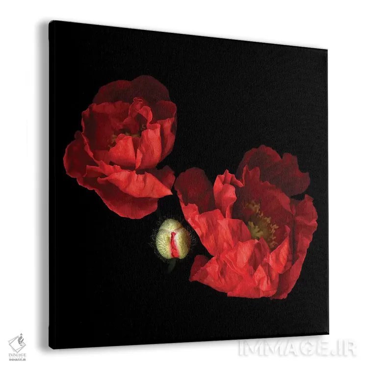 تابلو دکوراتیو شقایق قرمز دوم اثر مگدا ایندیگو - نمای پرسپکتیو محصول