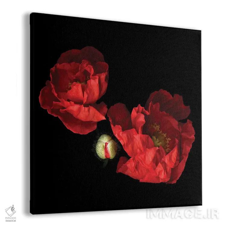 تابلو دکوراتیو شقایق قرمز دوم اثر مگدا ایندیگو - نمای پرسپکتیو محصول