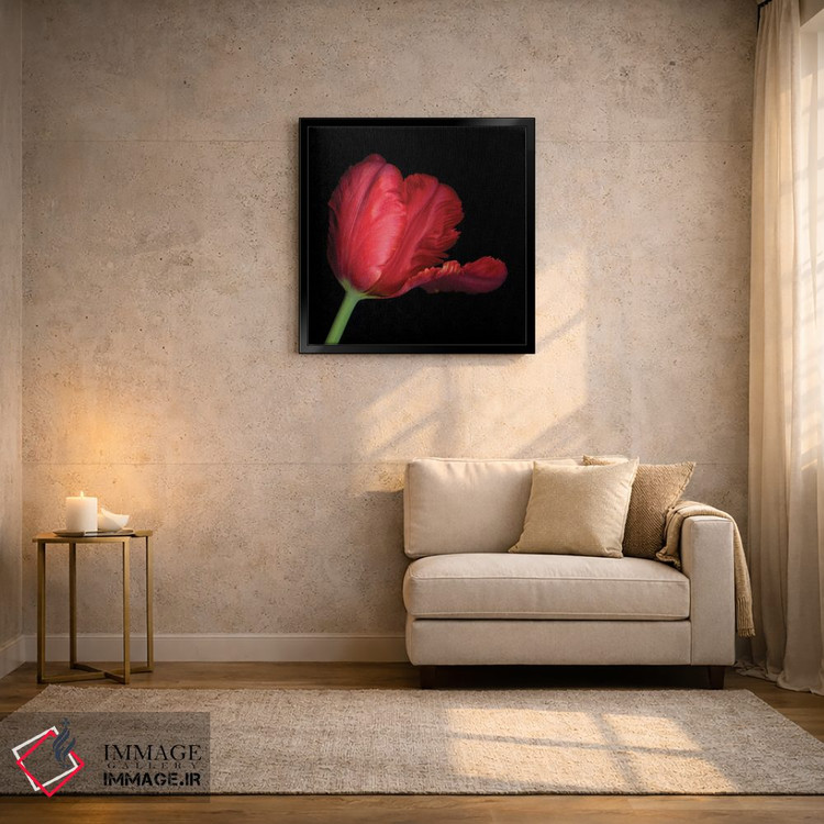 تابلو دکوراتیو طوطی قرمز ششم اثر مگدا ایندیگو - D4B