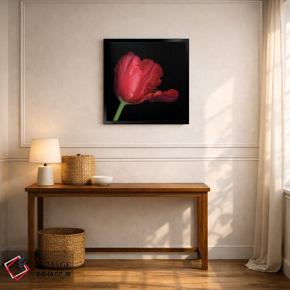 تابلو دکوراتیو طوطی قرمز ششم اثر مگدا ایندیگو - D6B