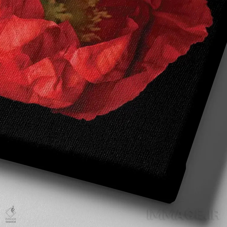 تابلو دکوراتیو شقایق قرمز دوم اثر مگدا ایندیگو - نمای نزدیک بافت بوم