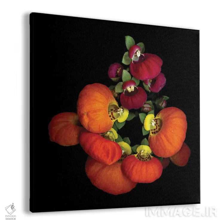 تابلو دکوراتیو پورتمونه دوم اثر مگدا ایندیگو - نمای پرسپکتیو محصول