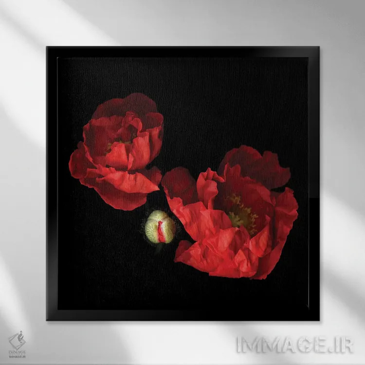 تابلو دکوراتیو شقایق قرمز دوم اثر مگدا ایندیگو - نمای قابدار مشکی