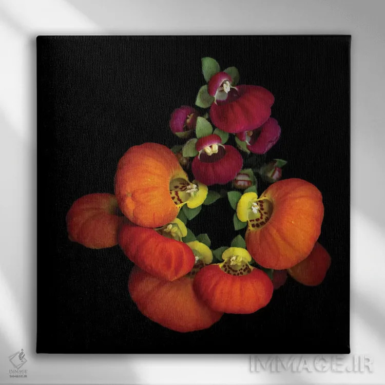 تابلو دکوراتیو پورتمونه دوم اثر مگدا ایندیگو - نمای روبهرو روی دیوار