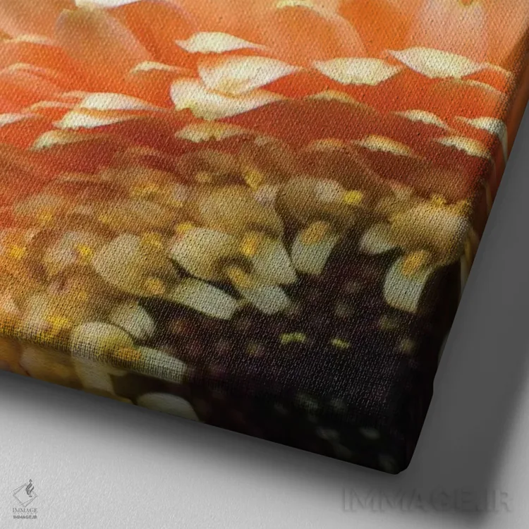 تابلو دکوراتیو ژربرا دزدکی اثر مگدا ایندیگو - نمای نزدیک بافت بوم