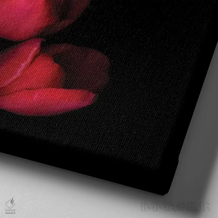 تابلو دکوراتیو بزن قدش اثر مگدا ایندیگو - نمای نزدیک بافت بوم