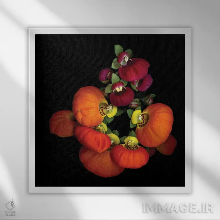 تابلو دکوراتیو پورتمونه دوم اثر مگدا ایندیگو - نمای قابدار سفید