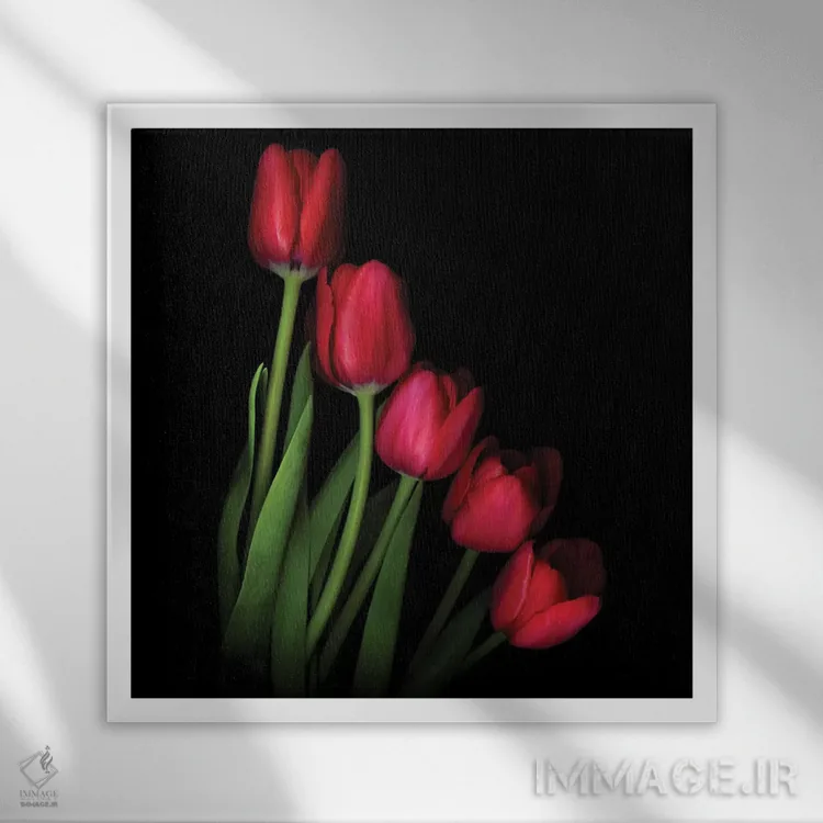 تابلو دکوراتیو بزن قدش اثر مگدا ایندیگو - نمای قابدار سفید