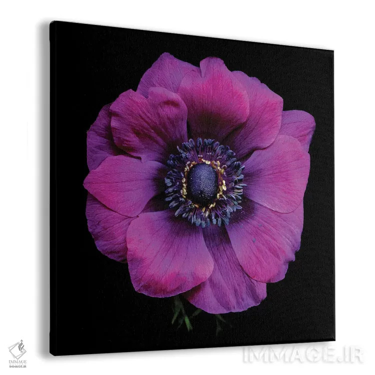 تابلو دکوراتیو قلب شقایق های بنفش پنجم اثر مگدا ایندیگو - نمای پرسپکتیو محصول