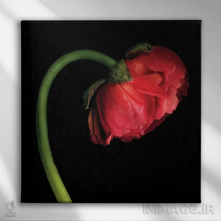 تابلو دکوراتیو آلاله چهل وششم اثر مگدا ایندیگو - نمای روبهرو روی دیوار