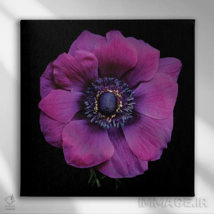 تابلو دکوراتیو قلب شقایق های بنفش پنجم اثر مگدا ایندیگو - نمای روبهرو روی دیوار