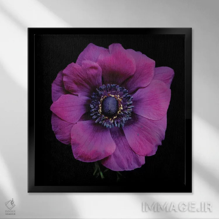 تابلو دکوراتیو قلب شقایق های بنفش پنجم اثر مگدا ایندیگو - نمای قابدار مشکی