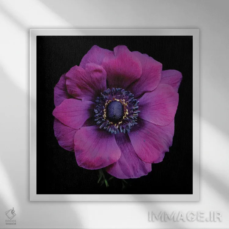 تابلو دکوراتیو قلب شقایق های بنفش پنجم اثر مگدا ایندیگو - نمای قابدار سفید