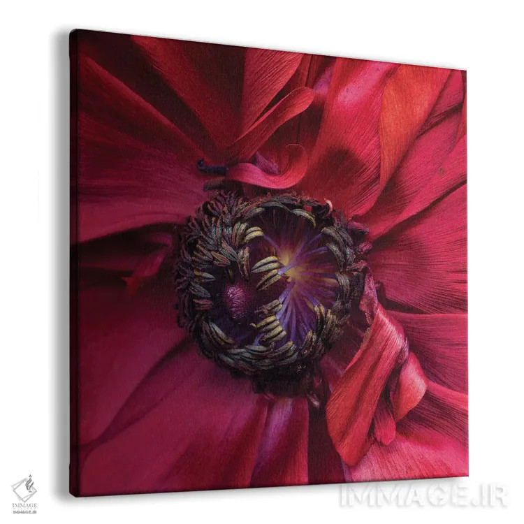 تابلو دکوراتیو آلاله چهارم اثر مگدا ایندیگو - نمای پرسپکتیو محصول