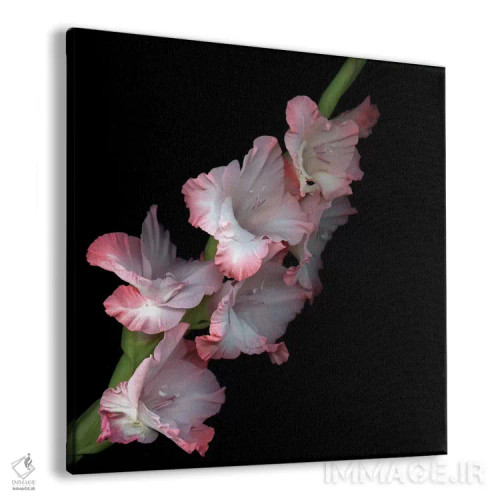 تابلو دکوراتیو زمان شادی اثر مگدا ایندیگو - نمای پرسپکتیو محصول