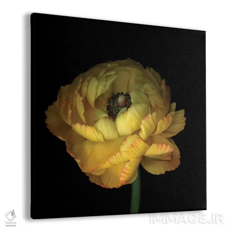 تابلو دکوراتیو آلاله چهارم اثر مگدا ایندیگو - نمای پرسپکتیو محصول