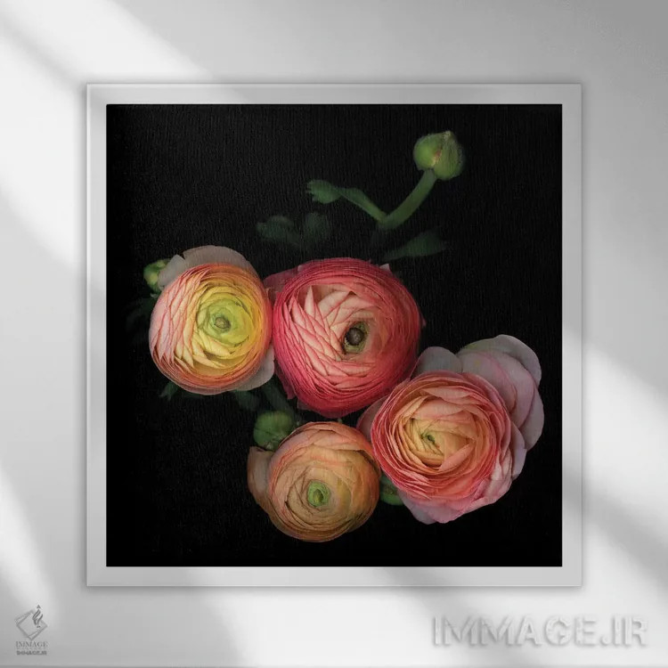 تابلو دکوراتیو آلاله هشتم اثر مگدا ایندیگو - نمای قابدار سفید