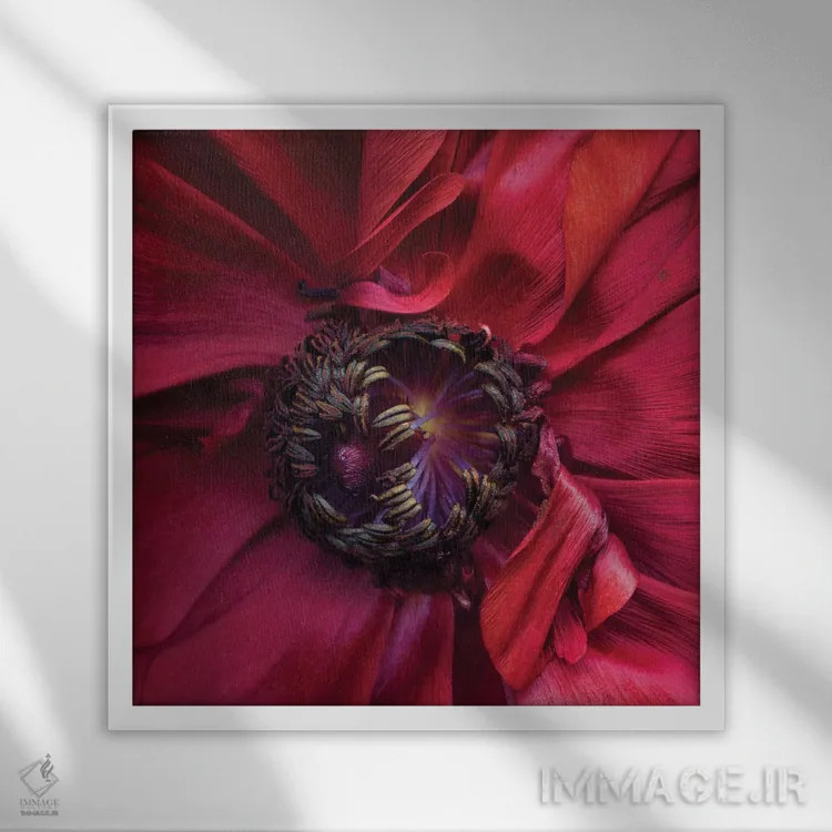 تابلو دکوراتیو آلاله چهارم اثر مگدا ایندیگو - نمای قابدار سفید