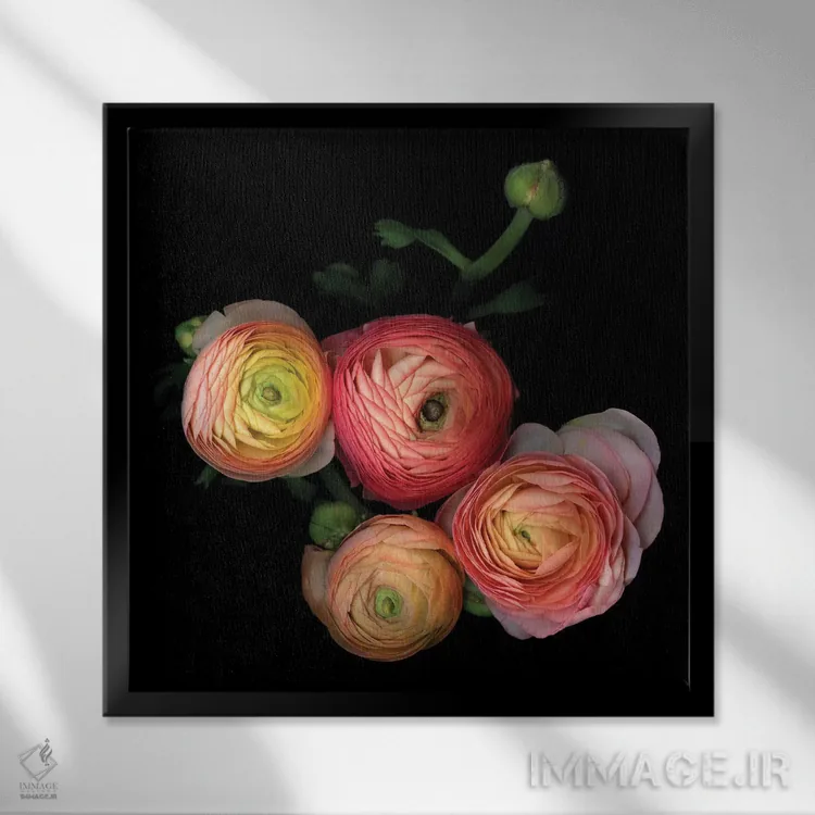 تابلو دکوراتیو آلاله هشتم اثر مگدا ایندیگو - نمای قابدار مشکی