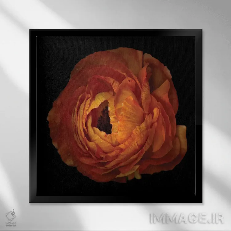 تابلو دکوراتیو آلاله نارنجی پانزدهم اثر مگدا ایندیگو - نمای قابدار مشکی