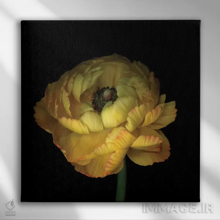 تابلو دکوراتیو آلاله چهارم اثر مگدا ایندیگو - نمای روبهرو روی دیوار