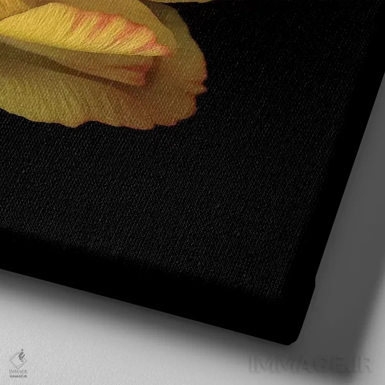 تابلو دکوراتیو آلاله چهارم اثر مگدا ایندیگو - نمای نزدیک بافت بوم