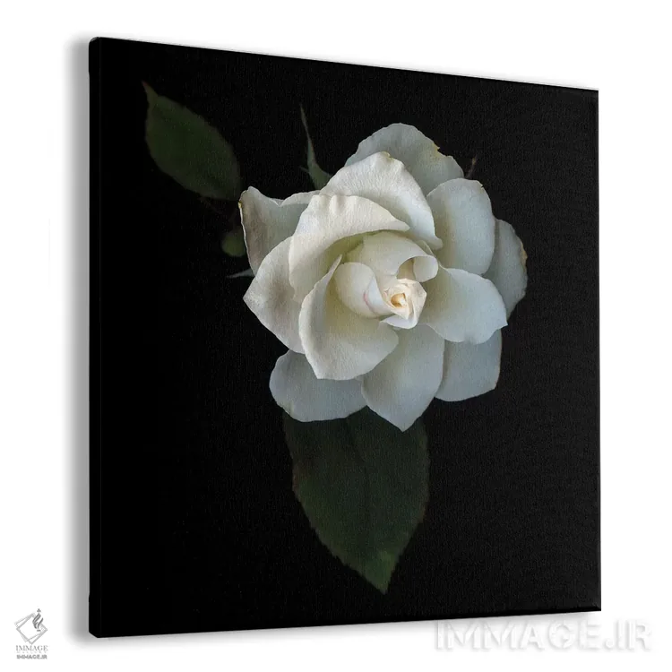 تابلو دکوراتیو ترکیب رزها ششم اثر مگدا ایندیگو - نمای پرسپکتیو محصول