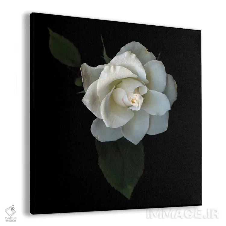 تابلو دکوراتیو ترکیب رزها ششم اثر مگدا ایندیگو - نمای پرسپکتیو محصول