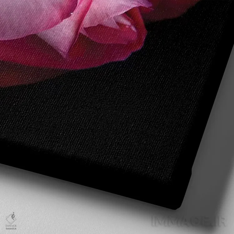 تابلو دکوراتیو رز پنجم اثر مگدا ایندیگو - نمای نزدیک بافت بوم