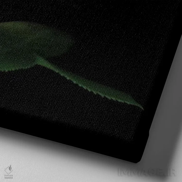 تابلو دکوراتیو رز زرد اول اثر مگدا ایندیگو - نمای نزدیک بافت بوم