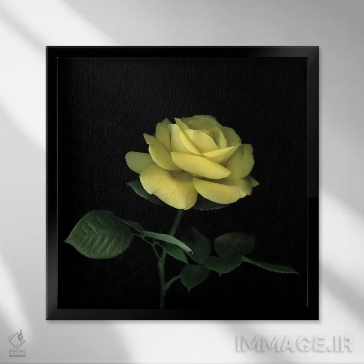 تابلو دکوراتیو رز زرد اول اثر مگدا ایندیگو - نمای قابدار مشکی