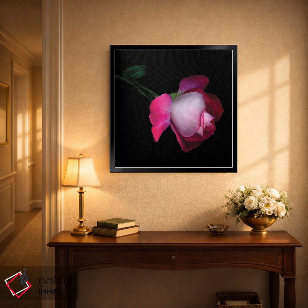 تابلو دکوراتیو رز پنجم اثر مگدا ایندیگو - D5B