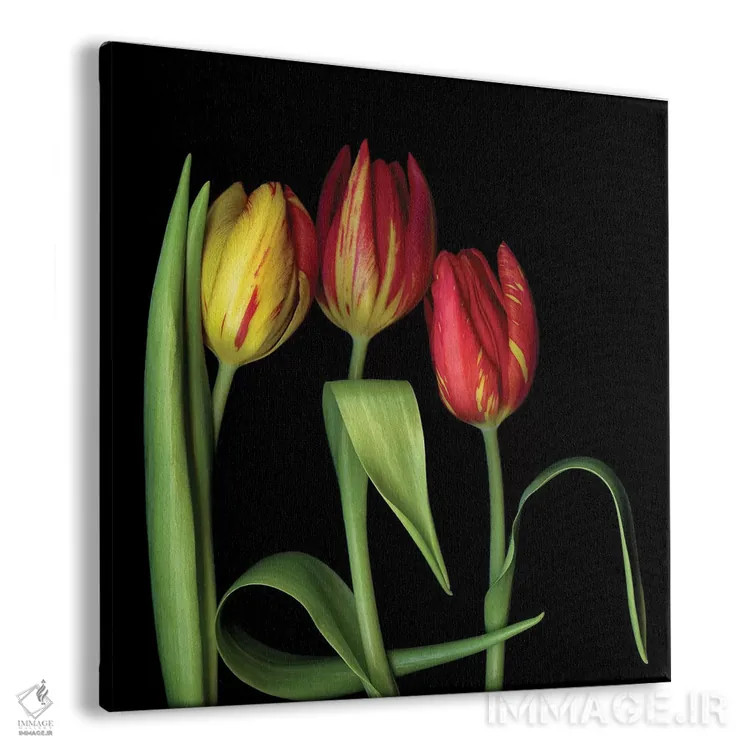 تابلو دکوراتیو لاله یازدهم اثر مگدا ایندیگو - نمای پرسپکتیو محصول