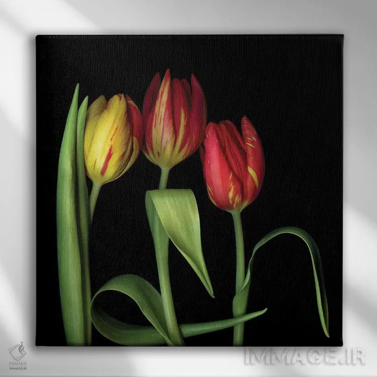 تابلو دکوراتیو لاله یازدهم اثر مگدا ایندیگو - نمای روبهرو روی دیوار