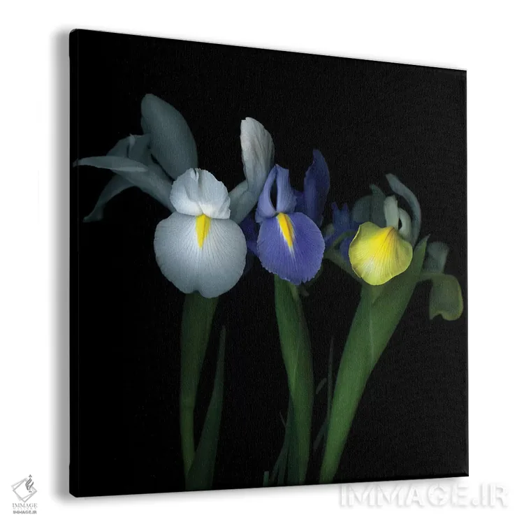 تابلو دکوراتیو ایریسیمه اثر مگدا ایندیگو - نمای پرسپکتیو محصول