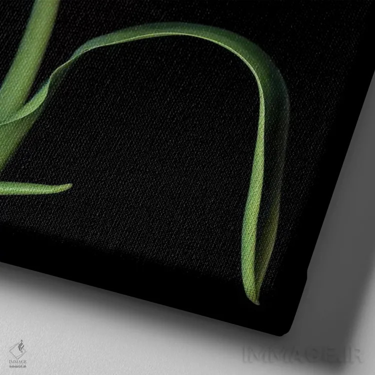 تابلو دکوراتیو لاله یازدهم اثر مگدا ایندیگو - نمای نزدیک بافت بوم