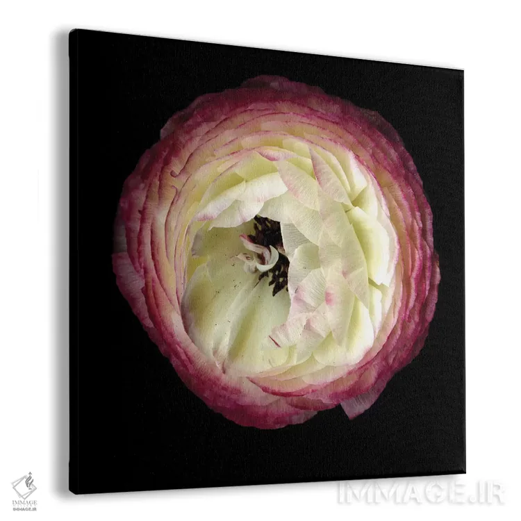 تابلو دکوراتیو نور درون اثر مگدا ایندیگو - نمای پرسپکتیو محصول